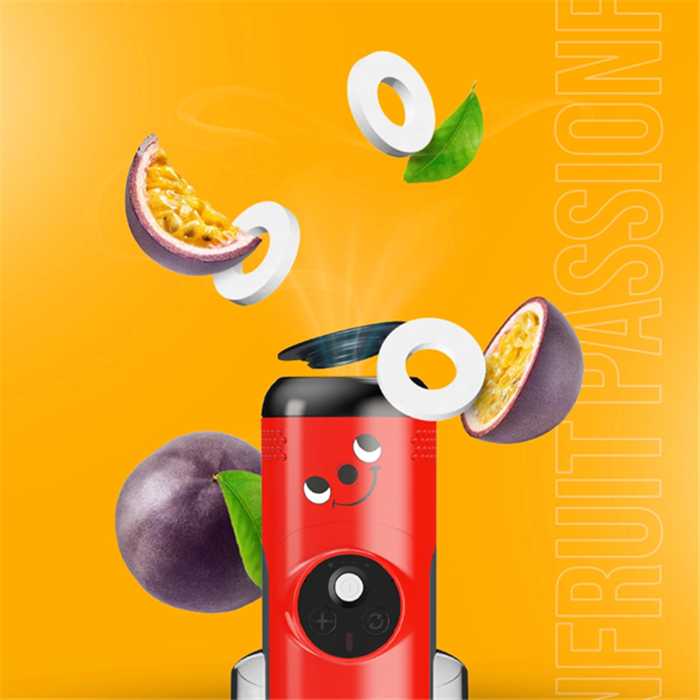 10 DUFTSCHOTEN PASSIONSFRUCHT FUR STAUBSAUGER 10 DUFTSCHOTEN PASSIONSFRUCHT FUR STAUBSAUGER