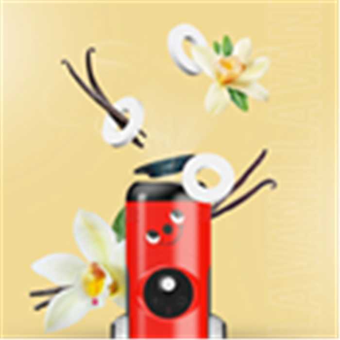 DOSETTES PARFUMEES VANILLE 10 PCES POUR ASPIRATEUR BALAI QU DOSETTES PARFUMEES VANILLE 10 PCES POUR ASPIRATEUR BALAI QU